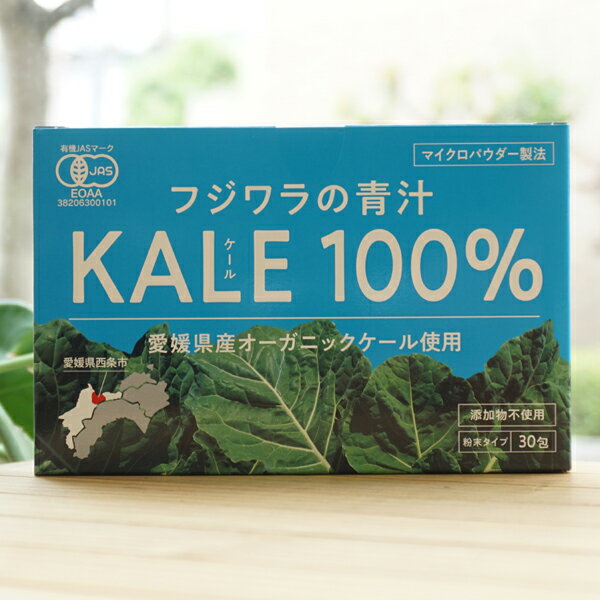 フジワラの青汁 KALE100％(粉末)/3g×30【フジワラ化学】　添加物不使用　マイクロパウダー製法