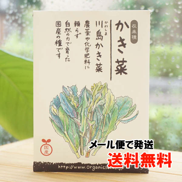 在来種 かき菜(川島かき菜)/約500粒【ナチュラルライフステーション】　国産【メール便の場合、送料無料】