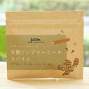 有機ジンジャーエールスパイス/20g【エヌハーベスト】
