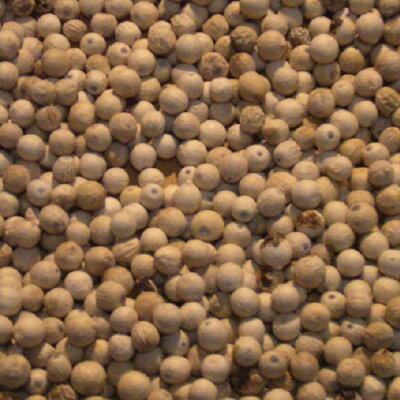 有機ホワイトペッパーホール/15g【エヌハーベスト】【メール便の場合、送料無料】 ORGANIC WHITE PEPPER WHOLE kenyu-kan-10012255 健康ストア 健友館 サンプル画像3