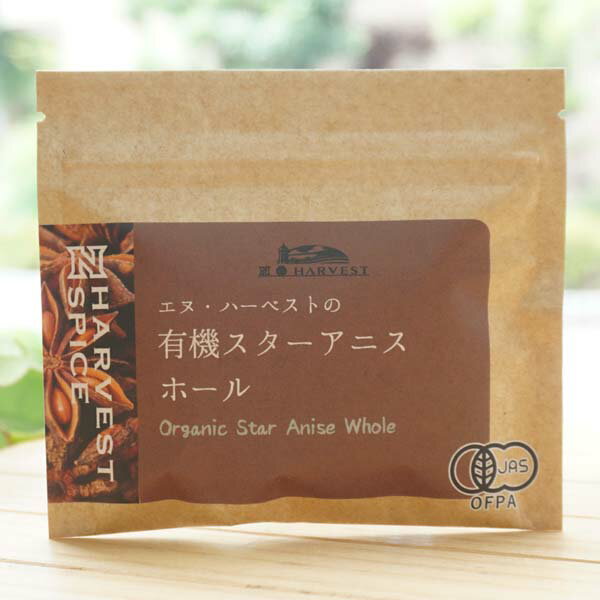 スターアニスパウダー 100g,Star Anise Powder,粉末,スターアニス,パウダー,八角,八角茴香,大茴香,スパイス,ハーブ,調味料,業務用,神戸スパイス,仕入,【ゆうパケット便送料無料】,MT