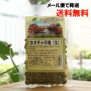 カボチャの種(生)/70g【ネオファーム】【メール便の場合、送料無料】 海外認定原料