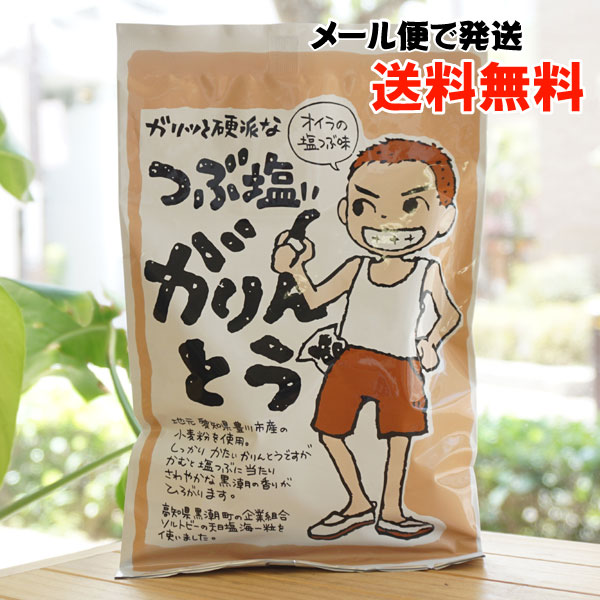 ガリッと硬派な つぶ塩がりんとう/80g【道長】【メール便の場合、送料無料】　愛知県豊川市産の小麦粉を使用