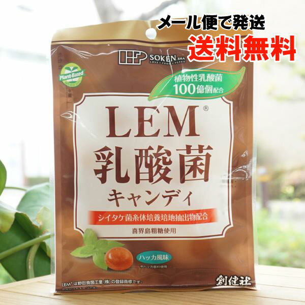 LEM乳酸菌キャンディ/63g(個包装)【創健社】【メール便の場合、送料無料】