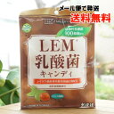 【注意】次の場合、送料が発生します。【メール便】、【送料無料】指定の商品以外との同梱の場合。●上記指定商品との同梱の場合は こちら ■LEM（シイタケ菌糸体培養培地抽出物）と植物性乳酸菌を配合した爽やかなハッカ味のキャンディです。 ■1粒標準4g当たりLEMシイタケ菌糸体培養培地抽出物）880&#13197;、植物性乳酸菌100億個配合。 ■国内産さつまいもから作った水飴、鹿児島県喜界島産粗糖で甘さ控えめに仕上げました。 ■LEMとは椎茸菌糸体抽出物のことです。 ■個包装こんな時におすすめです。・喉の乾燥が気になる時。・外出時、うがいが出来ない時。・リフレッシュしたい時。・1袋約15粒入り。 【原料名】水飴（国内製造）、砂糖、乳酸菌（デキストリン、乳酸菌（殺菌））、シイタケ菌糸体培養培地抽出物／ハッカ香料 【内容量】63g（個包装込み）