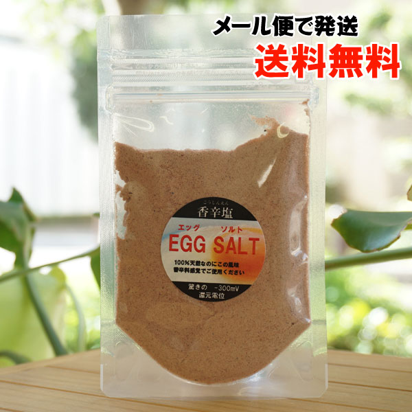 こうしんえん 香辛塩 エッグソルト(詰替)/55g【福元気】【メール便の場合、送料無料】 EGG SALT