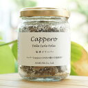 シチリア産塩漬けケッパー/100g シチリア産塩漬けケッパー/100g