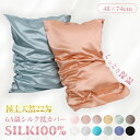 シルク 枕カバー シルク100% 封筒式 22匁 48×74cm 両面 絹 枕 冷感 美髪 美肌 保湿 敏感肌 洗える おしゃれ かわいい 6A級 高級 ピロー...