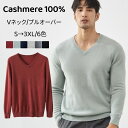 カシミヤ100% プルオーバー 長袖 Vネック プルオーバーセーター カシミア セーター メンズセーター 高級 セーター ニット トップス 保温 秋 冬 カット...