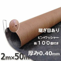 訳あり 数量限定 プランテックス125（旧名称ザバーン）防草シート（2m×50m）ブラック＆ブラウンとコ型ピン＋ワッシャーが各100個ついたお買い得セット