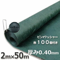 ザバーン 防草シート（2m×50m）136グリーンとコ型ピン＋WDワッシャーが各100個ついたお買い得セット