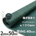 訳あり 数量限定 ザバーン136G防草シート(2m×50m)グリーンとコ型ピン+WDワッシャーが各100個ついたお買い得セット