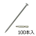 防草シート用 防草スクリュー 6パイ×150mm/100本入り PV汎用品 専用ビット付