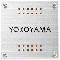 表札 戸建 ステンレス表札 ネームプレート ライド　EHDS-S-129（2色） エクスタイル