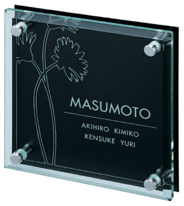 表札 戸建 ガラス表札 ネームプレート FIT（フィット）　MSFIT-S-538 丸三タカギ