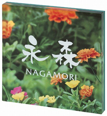 表札 戸建 アクリル表札 ネームプレート PLY（プライ）　MSPYS-6-6(ホワイト) 丸三タカギ