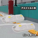 駐車場・ガレージのプラスチック製車止め(カーストッパー)NSP-PG 幅550mm高100mmグレー アスファルト用ピン付き 2個セット カーポートに 送料無料