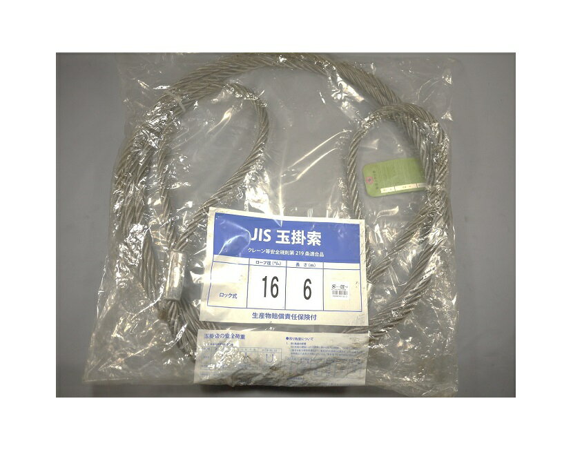 ワイヤーロープ　ロック　Φ16X6M