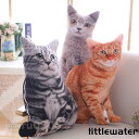 【楽天スーパーSALE限定価格】 ぬいぐるみ ネコ オリジナル ペット クッション 写真入り 猫 ねこ 3D ヘッド枕 50cm メモリアル ギフト 誕生日 プ...