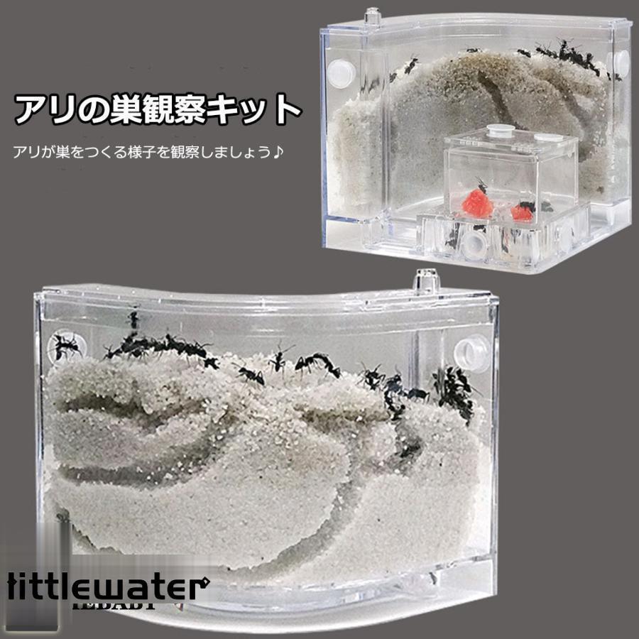 アリの巣　あり観察キット　飼育ケース　砂　自由研究 小学生 あり 蟻 飼育セット 実験セット 観察　夏..