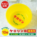 【ポイント5倍】 業務用 ケロリン桶 10個セット 選べる2種類 A型 関東版 B型 関西版 桶 風呂桶 洗面器 お風呂グッズ ケロリングッズ 懐かしい レトロ...