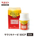 【ポイント5倍】 サラリキナーゼDX 90カプセル 健康食品 ルンブルクス 黒にんにく 田七人参 顕幸 サプリ サプリメント 栄養機能食品 ビタミンB6 富山めぐみ製薬 ケロリン100周年 ケロリン百年 楽天お買い物マラソン