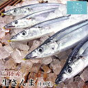 さんま 気仙沼 新さんま【丸繁商店】 (130g〜 10尾)...
