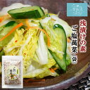 浅漬けの素 ご塩萬菜 (ごえんまんさい) 送料無料 (100g 袋タイプ ※ポスト投函) 小野徳 調味料 漬け物 焼き魚 炒め物 ササッと簡単 東北 宮城 気仙...