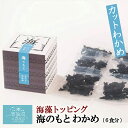 海藻トッピング 海のもと カットわかめ (1g×6袋) 山長小野寺商店 気仙沼 ワカメ 朝食 朝ごはん 味噌汁 サラダ お弁当