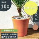 【アウトレット・欠け,受皿なし】植木鉢 素焼き テラコッタ 10号鉢 おしゃれ 陶器 プランター 浅鉢 イタリア ガーデニング 多肉 観葉 サボテン 寄せ植え ...