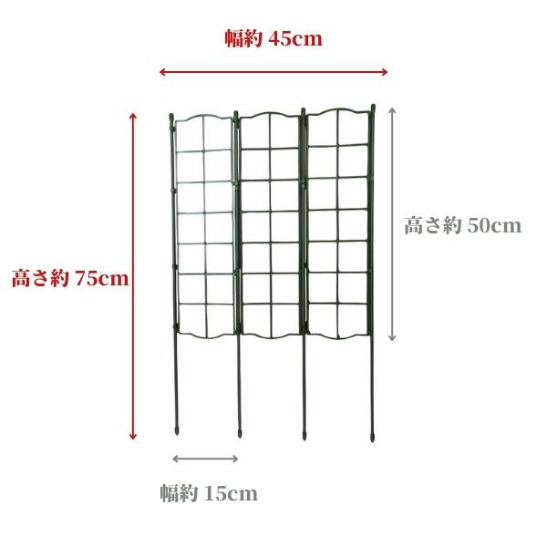 �ե��ѥͥ� �ȥ�ꥹ 3Ϣ �ץ�󥿡� �٥��� �����ڱ� �Ĥ�����ʪ ��������ե��� ��������ե��� �ڱ� ��� ���� �����ǥ˥� �����ǥ˥����� ���� �ȥ�ꥹ �Х� �ȥ�ꥹ�ե���