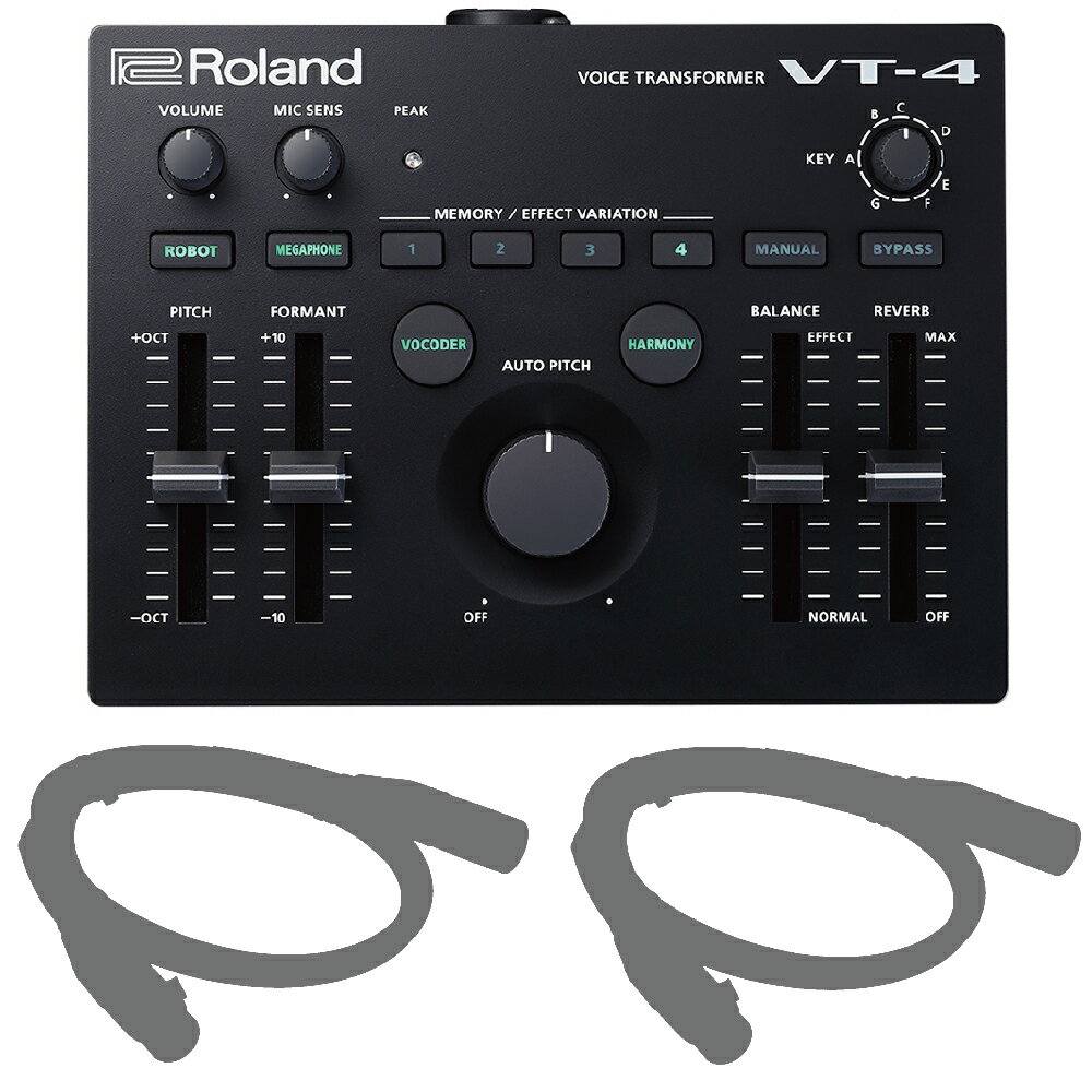 【マイクケーブル2本セット！】Roland VT-4 ローランド ボイス トランスフォーマー