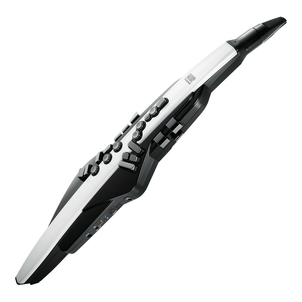 Roland AE-20 Aerophone Pro エアロフォン 