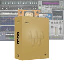 WAVES Gold 【ダウンロード版/メール納品】