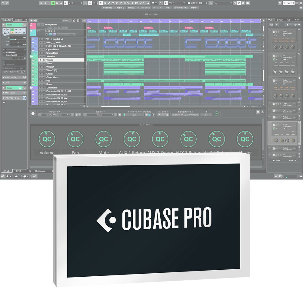 楽天MUSICLAND KEY 心斎橋店Steinberg Cubase Pro 通常版 スタインバーグ キューベース DAWソフト 【パッケージ版】