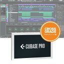 Steinberg Cubase Pro クロスグレード版 スタインバーグ キューベース DAWソフト【パッケージ版】