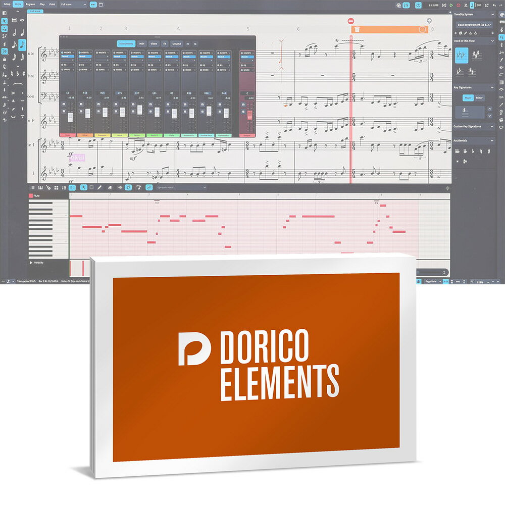 Steinberg Dorico Elements 5 通常版 (DORICO EL /R) 【パッケージ版】