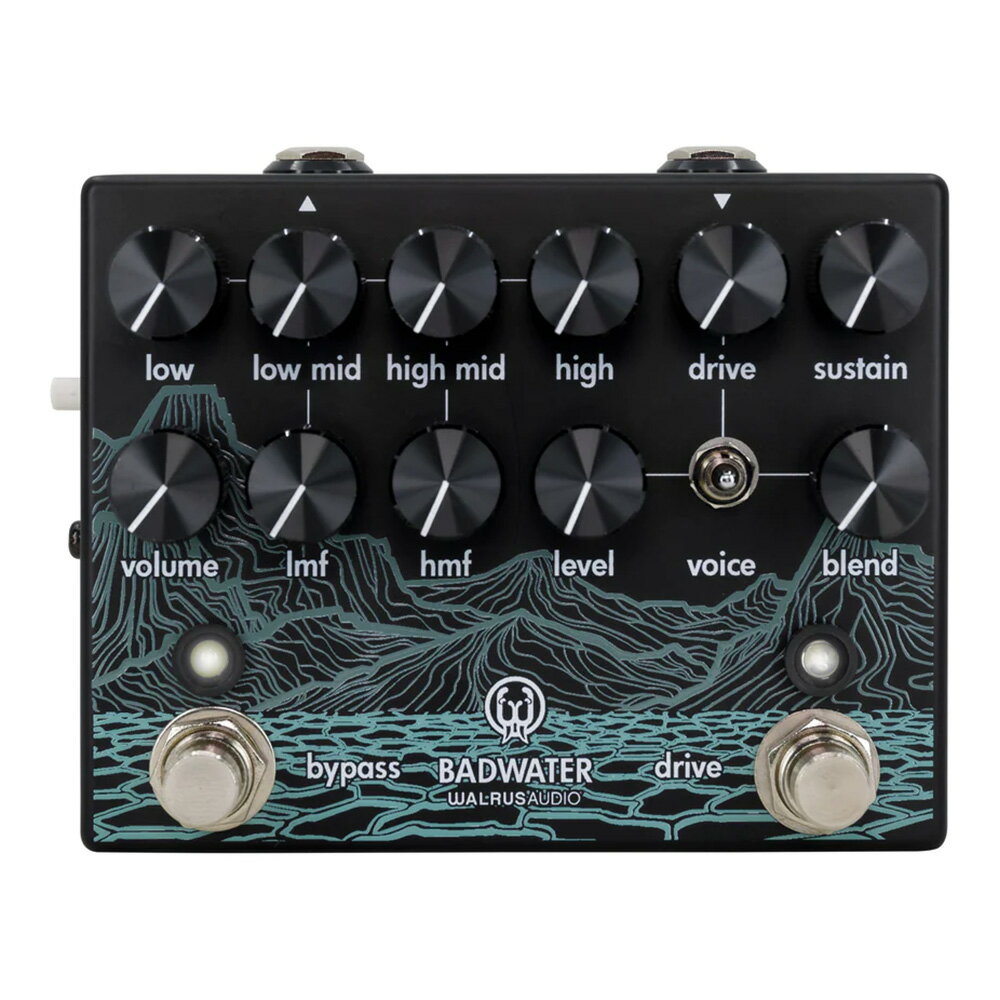 WALRUS AUDIO BADWATER Bass Pre-amp and D.I. [WAL-BADW]