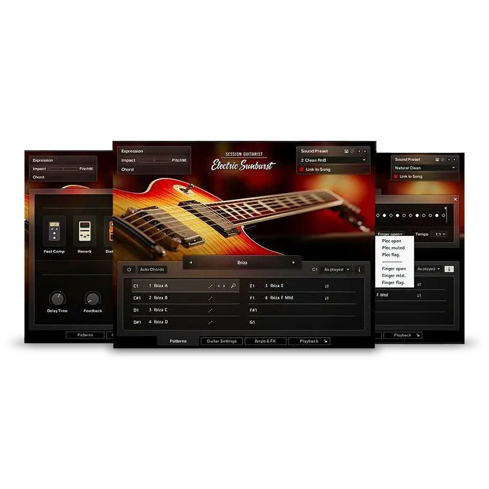 Native Instruments Session Guitarist - Electric Sunburst【ダウンロード版/メール納品】