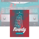 UJAM Virtual Bassist ROWDY 2 y_E[hi/[[iz