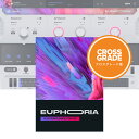 UJAM Usynth EUPHORIA クロスグレード 【ダウンロード版/メール納品】