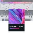 UJAM Usynth EUPHORIA【ダウンロード版/メール納品】【Golden Group Buy！最大85％オフ！～5/7】