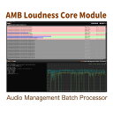 NUGEN Audio AMB Loudness Core Module 【ダウンロード版/メール納品】