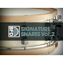 BFD BFD3 Expansion Pack: Signature Snares Vol.2 【ダウンロード版/メール納品】