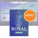 UJAM Virtual Bassist ROYAL 2 ロイヤリティ 【ダウンロード商品/ロイヤリティ版/メール納品】