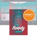 UJAM Virtual Bassist ROWDY 2 ロイヤリティ 【ダウンロード商品/クロスグレード版/メール納品】