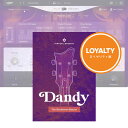 UJAM Virtual Bassist DANDY ロイヤリティ 【ダウンロード商品/ロイヤリティ版/メール納品】