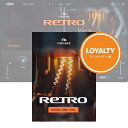 UJAM Finisher RETRO ロイヤリティ 【ダウンロード版/ロイヤリティ版/メール納品】