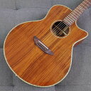 ELK GRAND Koa エルク エレアコギター 【ELK 春の感謝祭 プレゼントフェア】