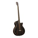 ELK ACOBE 4 F-Hole Premium Ebony 【ELK 春の感謝祭 プレゼントフェア】